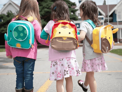 Marcus & Marcus- Insulated Backpacks/Lunch bags Pocky the Pig-Pink-1875027455799070722