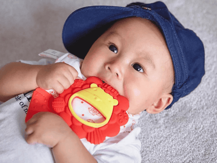 Marcus & Marcus- Sensory Silicone Teether Willo the Whale-Purple-1875027417513463809