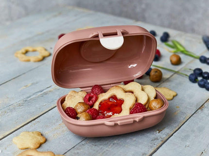 Monbento Gram Snack Box-Cinnamon Fox Cinnamon Fox-1875027483187875845