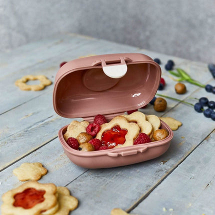 Monbento Gram Snack Box-Cinnamon Fox Cinnamon Fox-1954803050220752901