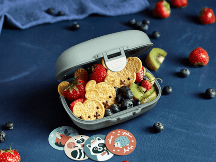 Monbento Gram Snack Box-Green Raccoon Green Raccoon-1875027483041075207