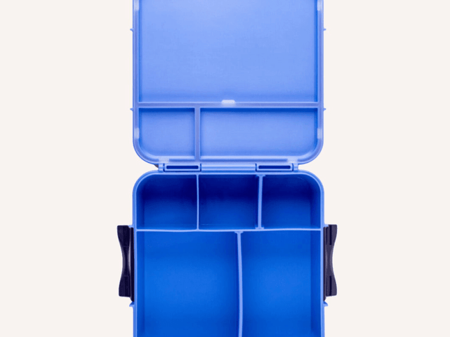 MONTII.CO Bento Plus | Blueberry-1875027551143989249
