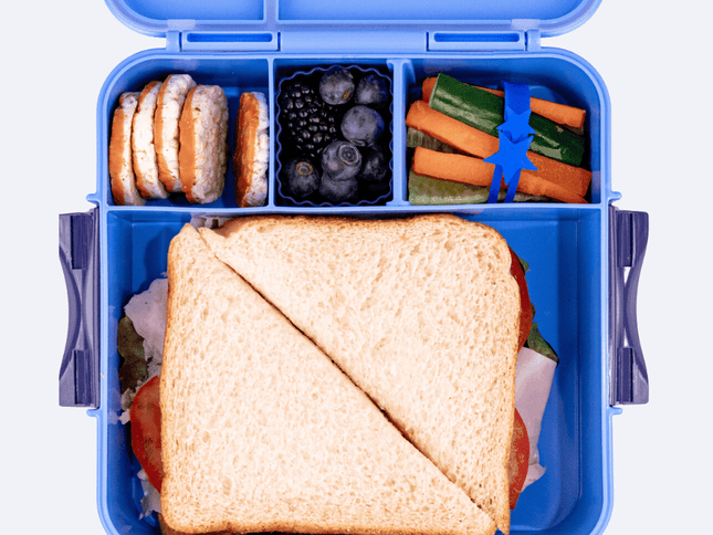 MONTII.CO Bento Plus | Blueberry-1973194229744275458