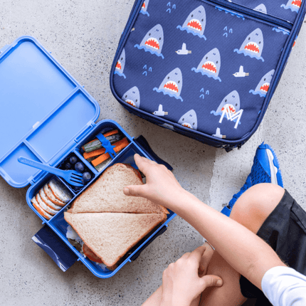 MONTII.CO Bento Plus | Blueberry-1954803116885020676