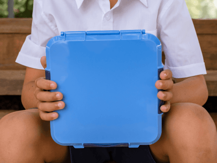 MONTII.CO Bento Plus | Blueberry-1875027551143989256
