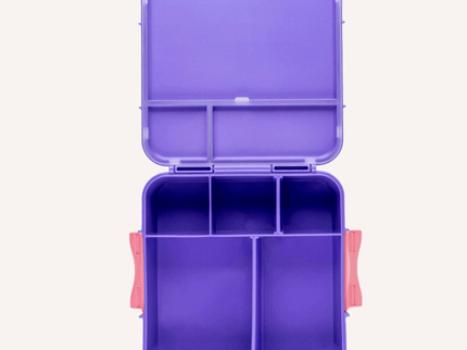 MONTII.CO Bento Plus | Grape-1875027450732351489