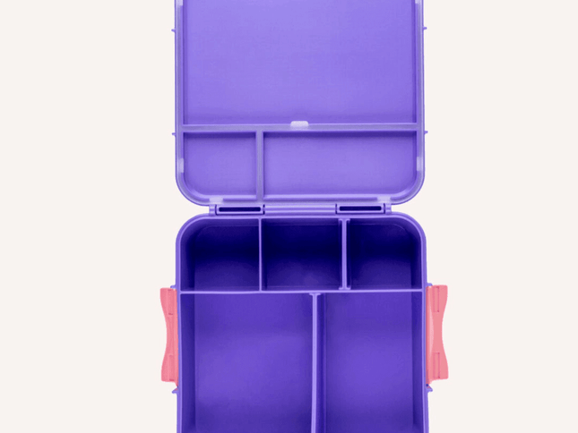 MONTII.CO Bento Plus | Grape-1973194230125957121