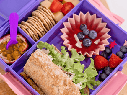 MONTII.CO Bento Plus | Grape-1875027450732351491