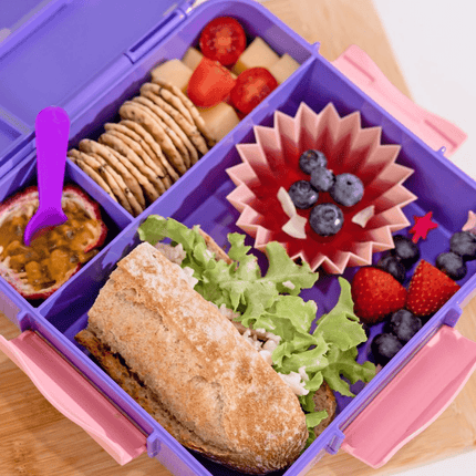 MONTII.CO Bento Plus | Grape-1954803117291868163
