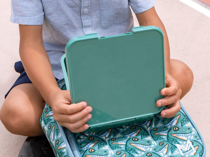 MONTII.CO Little Lunch Box Co | Bento Three - Apple-1875027462384128002