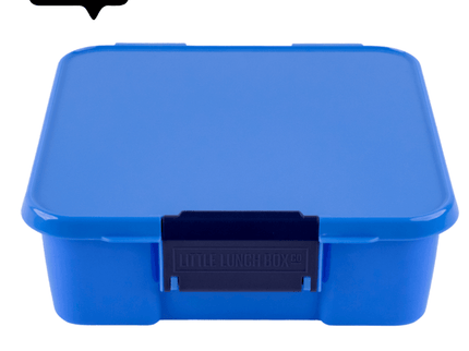 MONTII.CO Little Lunch Box Co | Bento Three - Blueberry-1875027495842091008