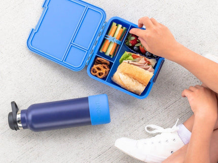 MONTII.CO Little Lunch Box Co | Bento Three - Blueberry-1875027495842091015
