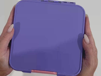 MONTII.CO Little Lunch Box Co | Bento Three -Grape-1875027496278298632