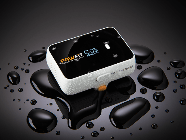 Pawfit 3 Tracker-1869883041959251969