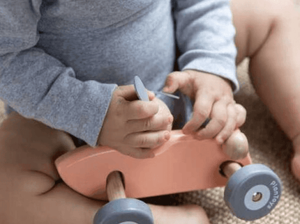 Plan Toys Bunny Racing Car-1875027406968983557