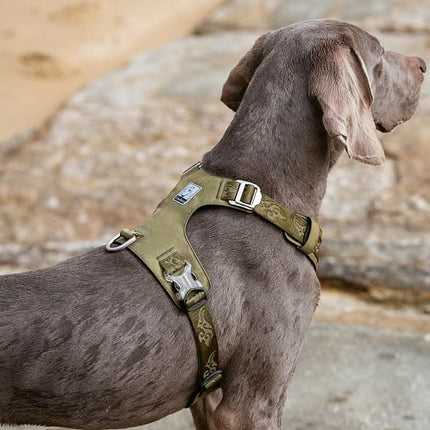 True Love Lightweight Dog Harness - Green, L-1962324859396689922