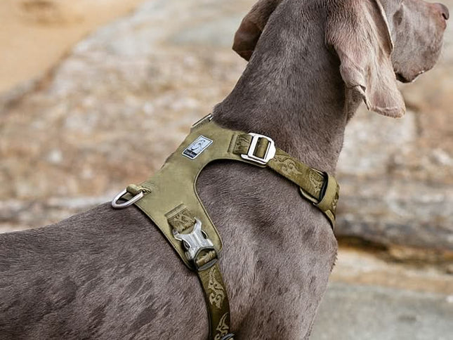 True Love Lightweight Dog Harness - Green, L-1962324859396689922