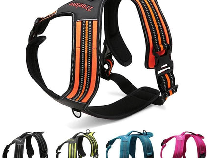 True Love Heavy Duty Sports Dog Harness - Orange, L-1831155628765220865
