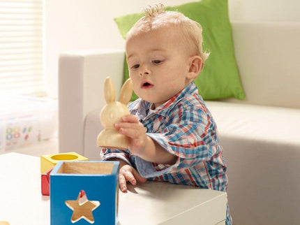SMART GAMES Bunny Boo-1875027485742206980