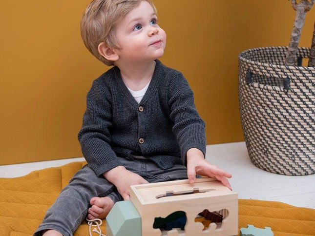 Trixie Wooden Animal Truck-1973194237147222018