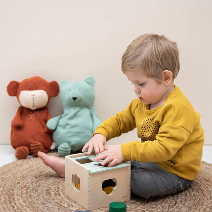 Trixie Wooden Shape Sorter-1973194236971061252